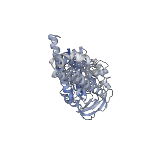 26825_7uw9_C_v1-2
Citrus V-ATPase State 1, H in contact with subunit a