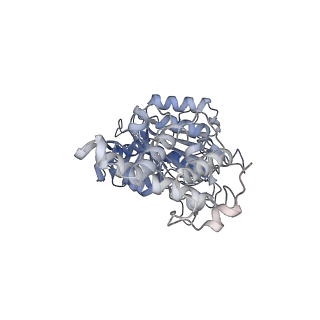 26825_7uw9_D_v1-2
Citrus V-ATPase State 1, H in contact with subunit a
