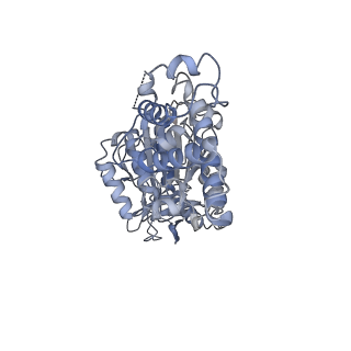 26825_7uw9_F_v1-2
Citrus V-ATPase State 1, H in contact with subunit a