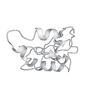 26825_7uw9_N_v1-2
Citrus V-ATPase State 1, H in contact with subunit a