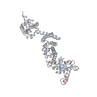 26825_7uw9_P_v1-2
Citrus V-ATPase State 1, H in contact with subunit a