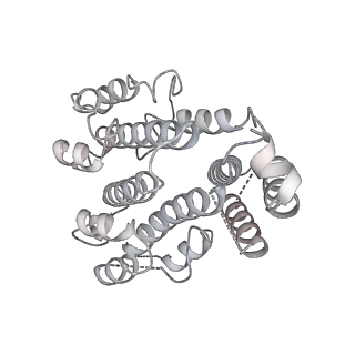 26825_7uw9_d_v1-2
Citrus V-ATPase State 1, H in contact with subunit a