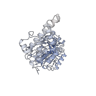 26826_7uwa_B_v1-2
Citrus V-ATPase State 1, H in contact with subunits AB