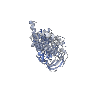 26826_7uwa_C_v1-2
Citrus V-ATPase State 1, H in contact with subunits AB