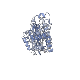26826_7uwa_F_v1-2
Citrus V-ATPase State 1, H in contact with subunits AB