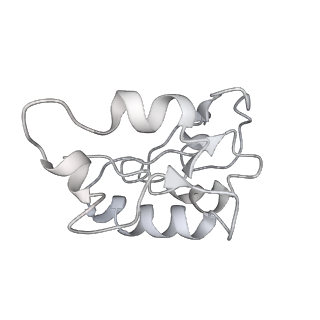 26826_7uwa_N_v1-2
Citrus V-ATPase State 1, H in contact with subunits AB