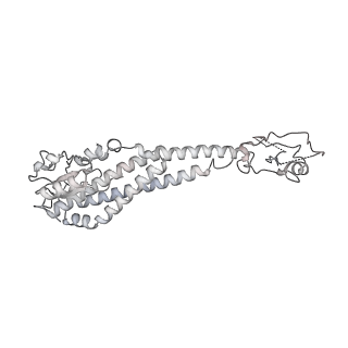 26826_7uwa_O_v1-2
Citrus V-ATPase State 1, H in contact with subunits AB