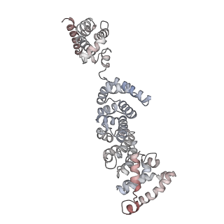 26826_7uwa_P_v1-2
Citrus V-ATPase State 1, H in contact with subunits AB