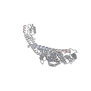 26826_7uwa_a_v1-2
Citrus V-ATPase State 1, H in contact with subunits AB