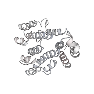 26826_7uwa_d_v1-2
Citrus V-ATPase State 1, H in contact with subunits AB