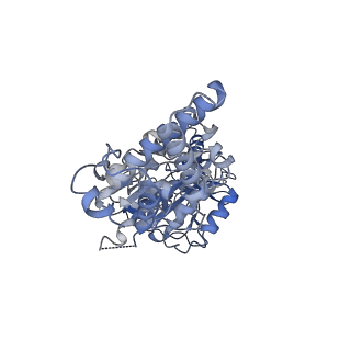 26827_7uwb_B_v1-3
Citrus V-ATPase State 2, Highest-Resolution Class