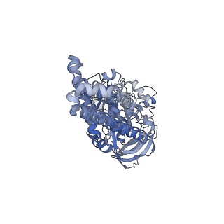 26827_7uwb_C_v1-3
Citrus V-ATPase State 2, Highest-Resolution Class