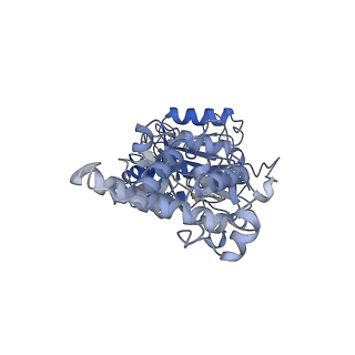 26827_7uwb_D_v1-3
Citrus V-ATPase State 2, Highest-Resolution Class