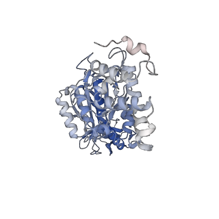 26827_7uwb_F_v1-3
Citrus V-ATPase State 2, Highest-Resolution Class