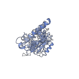 26828_7uwc_B_v1-3
Citrus V-ATPase State 2, H in contact with subunit a