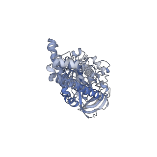 26828_7uwc_C_v1-3
Citrus V-ATPase State 2, H in contact with subunit a