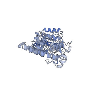 26828_7uwc_D_v1-3
Citrus V-ATPase State 2, H in contact with subunit a
