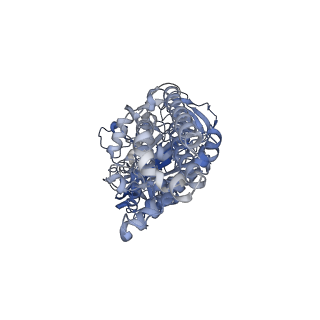 26828_7uwc_E_v1-3
Citrus V-ATPase State 2, H in contact with subunit a