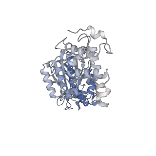 26828_7uwc_F_v1-3
Citrus V-ATPase State 2, H in contact with subunit a