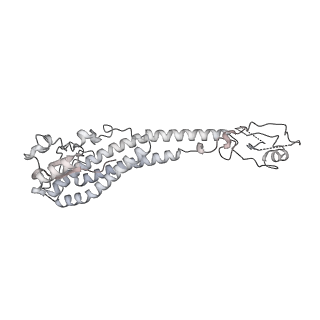 26828_7uwc_O_v1-3
Citrus V-ATPase State 2, H in contact with subunit a
