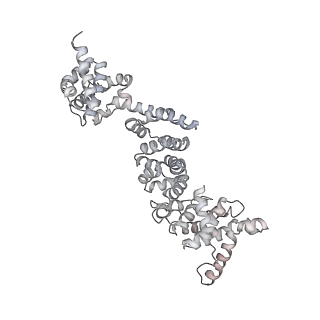 26828_7uwc_P_v1-3
Citrus V-ATPase State 2, H in contact with subunit a