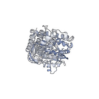 26829_7uwd_A_v1-3
Citrus V-ATPase State 2, H in contact with subunits AB