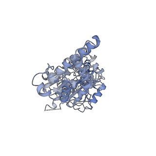 26829_7uwd_B_v1-3
Citrus V-ATPase State 2, H in contact with subunits AB