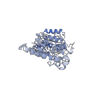 26829_7uwd_D_v1-3
Citrus V-ATPase State 2, H in contact with subunits AB