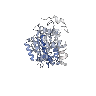 26829_7uwd_F_v1-3
Citrus V-ATPase State 2, H in contact with subunits AB