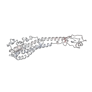 26829_7uwd_O_v1-3
Citrus V-ATPase State 2, H in contact with subunits AB
