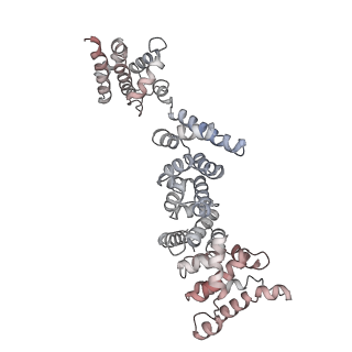 26829_7uwd_P_v1-3
Citrus V-ATPase State 2, H in contact with subunits AB