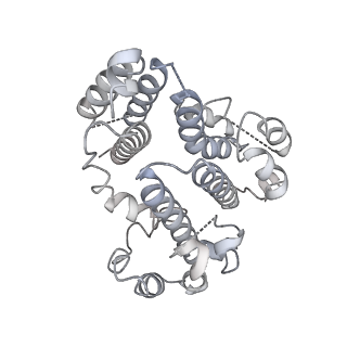 26829_7uwd_d_v1-3
Citrus V-ATPase State 2, H in contact with subunits AB