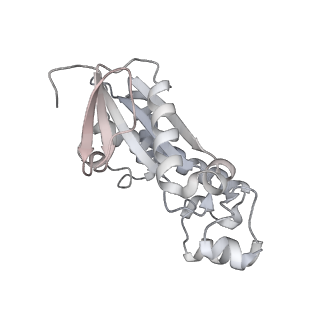 26830_7uwe_C_v1-1
CryoEM Structure of E. coli Transcription-Coupled Ribonucleotide Excision Repair (TC-RER) complex