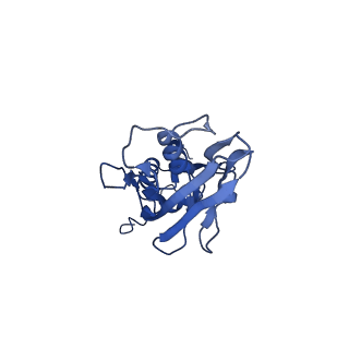 26830_7uwe_H_v1-1
CryoEM Structure of E. coli Transcription-Coupled Ribonucleotide Excision Repair (TC-RER) complex