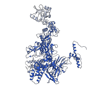 26830_7uwe_I_v1-1
CryoEM Structure of E. coli Transcription-Coupled Ribonucleotide Excision Repair (TC-RER) complex
