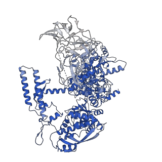 26830_7uwe_J_v1-1
CryoEM Structure of E. coli Transcription-Coupled Ribonucleotide Excision Repair (TC-RER) complex