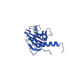 26832_7uwh_G_v1-1
CryoEM Structure of E. coli Transcription-Coupled Ribonucleotide Excision Repair (TC-RER) complex bound to ribonucleotide substrate