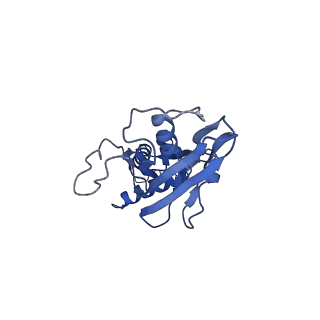 26832_7uwh_H_v1-1
CryoEM Structure of E. coli Transcription-Coupled Ribonucleotide Excision Repair (TC-RER) complex bound to ribonucleotide substrate