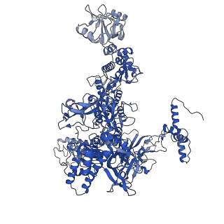 26832_7uwh_I_v1-1
CryoEM Structure of E. coli Transcription-Coupled Ribonucleotide Excision Repair (TC-RER) complex bound to ribonucleotide substrate