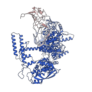26832_7uwh_J_v1-1
CryoEM Structure of E. coli Transcription-Coupled Ribonucleotide Excision Repair (TC-RER) complex bound to ribonucleotide substrate