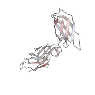 26834_7uwk_D_v1-3
Structure of the higher-order IL-25-IL-17RB complex