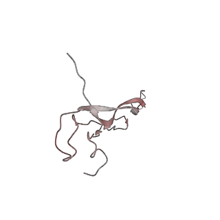 26834_7uwk_H_v1-3
Structure of the higher-order IL-25-IL-17RB complex