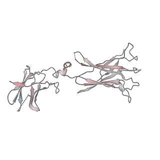 26834_7uwk_J_v1-3
Structure of the higher-order IL-25-IL-17RB complex