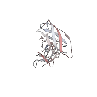 26834_7uwk_K_v1-3
Structure of the higher-order IL-25-IL-17RB complex