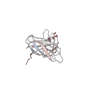 26834_7uwk_L_v1-3
Structure of the higher-order IL-25-IL-17RB complex