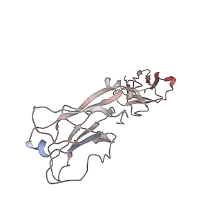 26835_7uwl_E_v1-3
Structure of the IL-25-IL-17RB-IL-17RA ternary complex