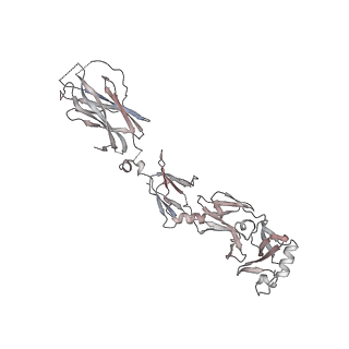 26837_7uwn_G_v1-3
Structure of the IL-17A-IL-17RA-IL-17RC ternary complex