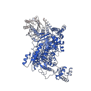 42637_8uw3_A_v1-2
Human LINE-1 retrotransposon ORF2 protein engaged with template RNA in elongation state