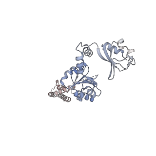 20931_6uxa_D_v1-2
MthK N-terminal truncation state 2 bound with calcium