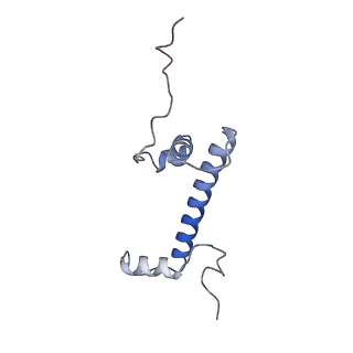 26855_7ux9_A_v1-2
Arabidopsis DDM1 bound to nucleosome (H2A.W, H2B, H3.3, H4, with 147 bp DNA)
